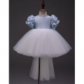 Princess Tulle Dress