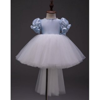 Princess Tulle Dress