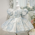 Princess Tulle Dress