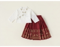 Horse-face Pleated dress set