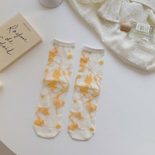 2 pairs mesh socks